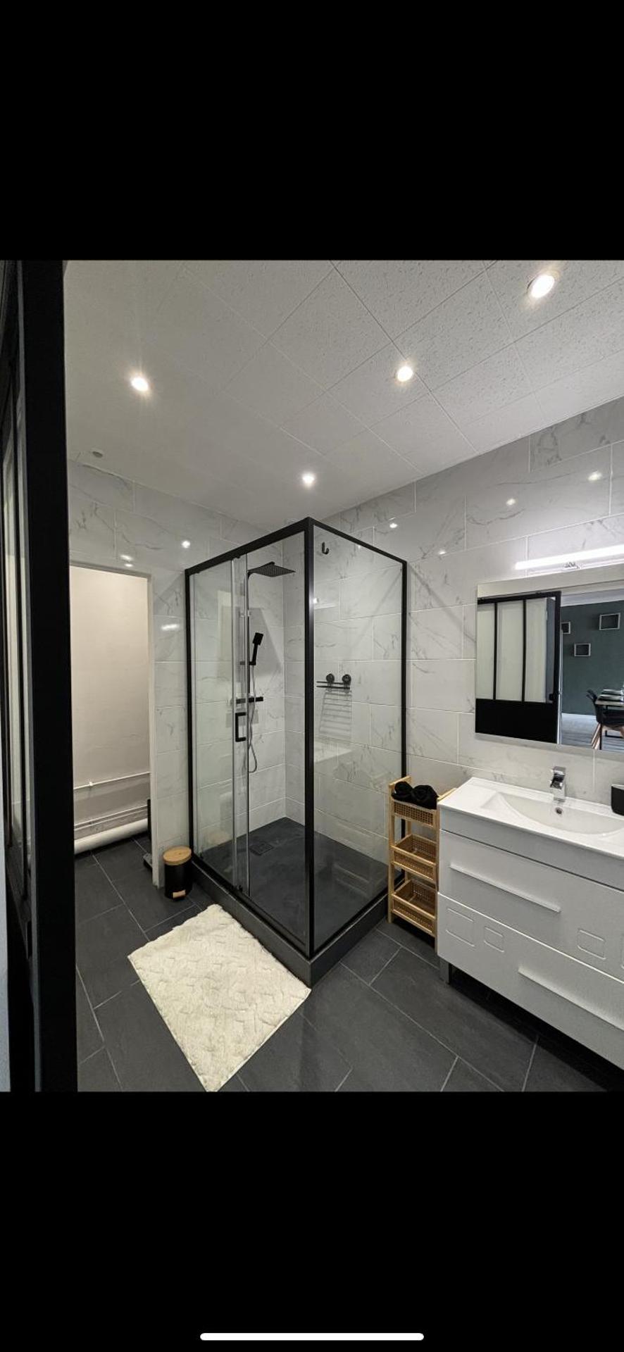 Grand appartement Roanne centre