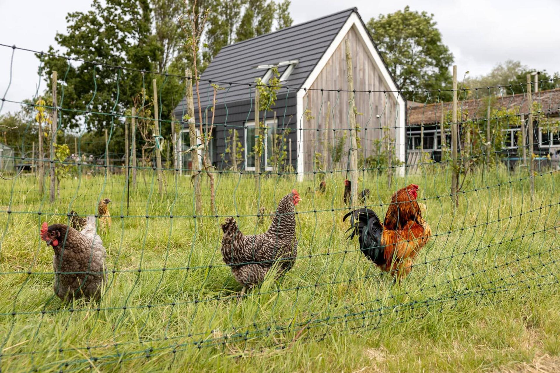 Hello Zeeland - Vakantiewoning Kalfhoeksepad 8