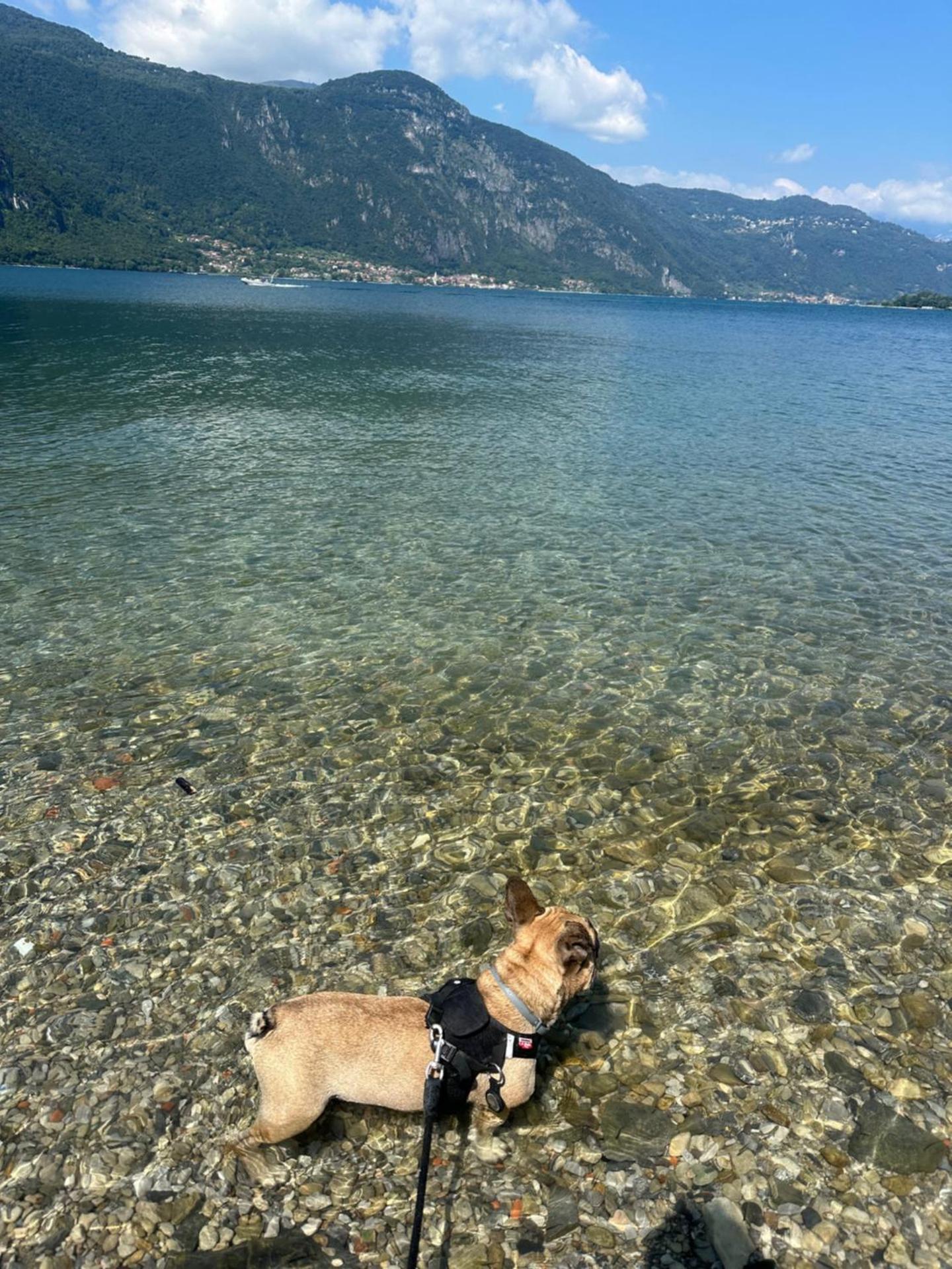 Leon Home - La casa di Leon