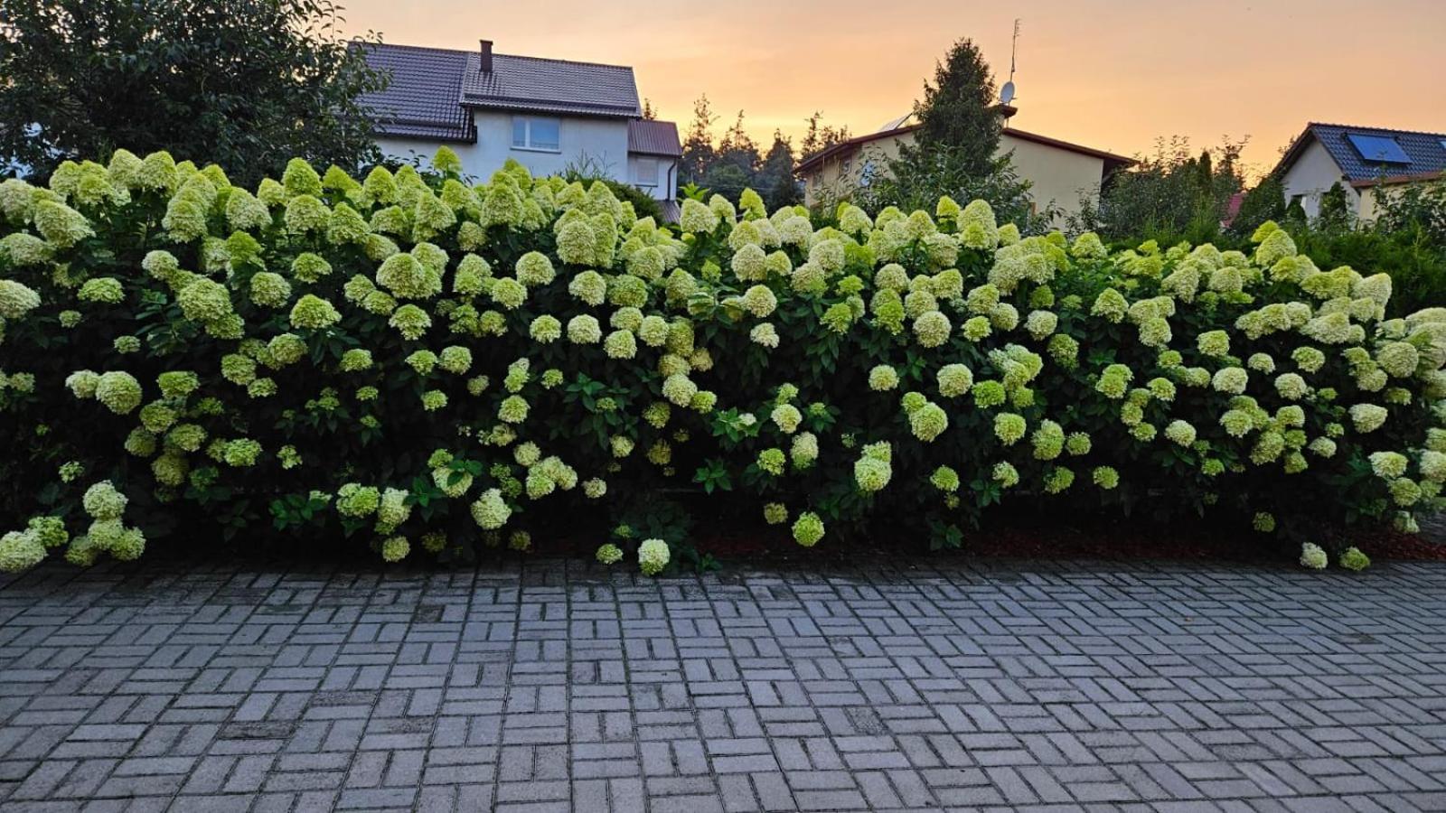 Apartament na Gryfa 8