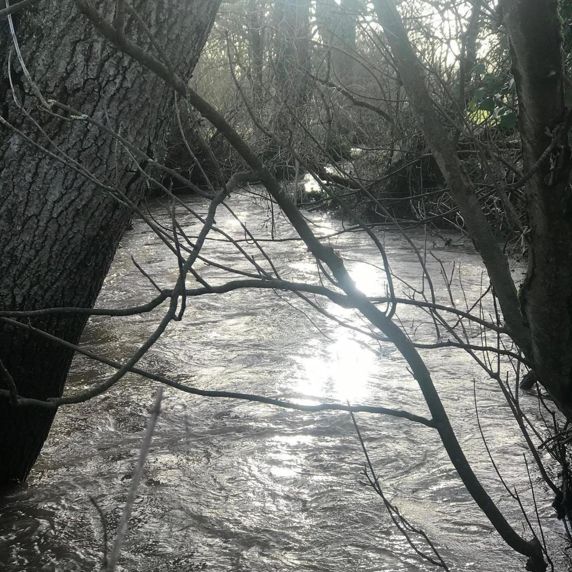 Rural Retreat - Private Hot Tub