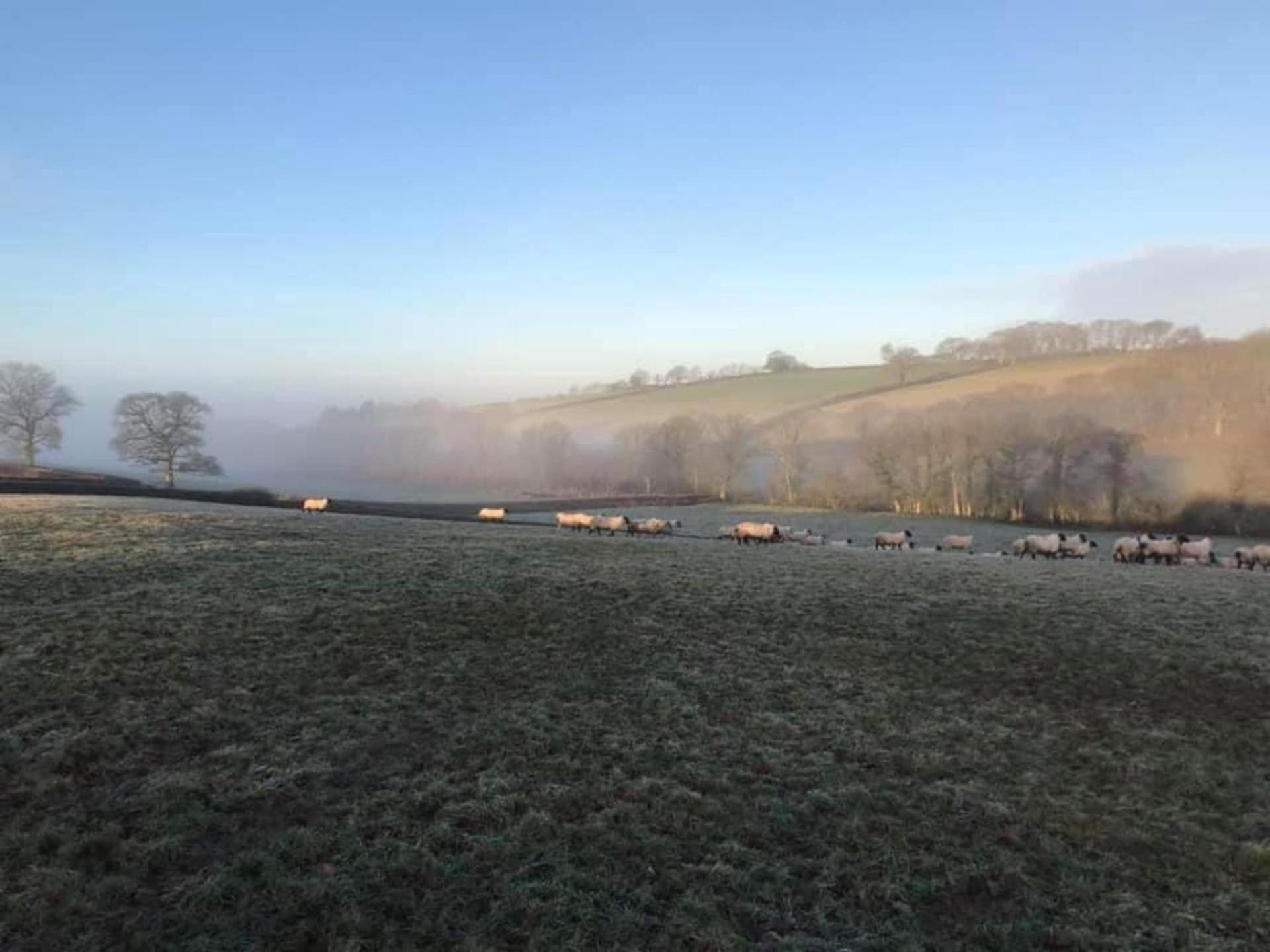 Rural Retreat - Private Hot Tub
