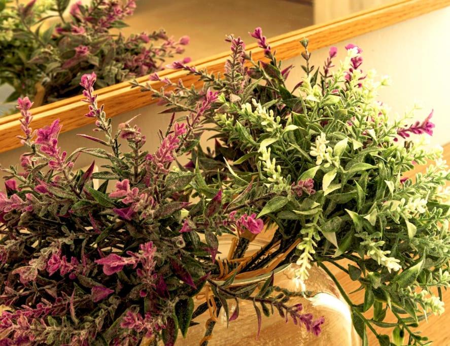 Thenia's Bellevue apartment