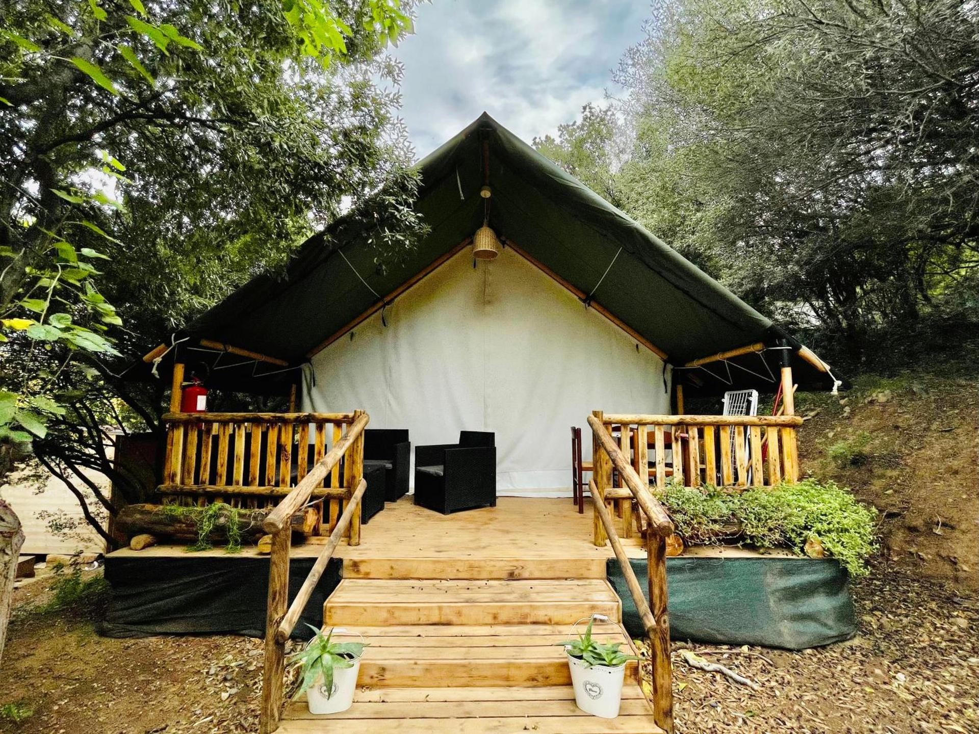 New Camping Coccorrocci