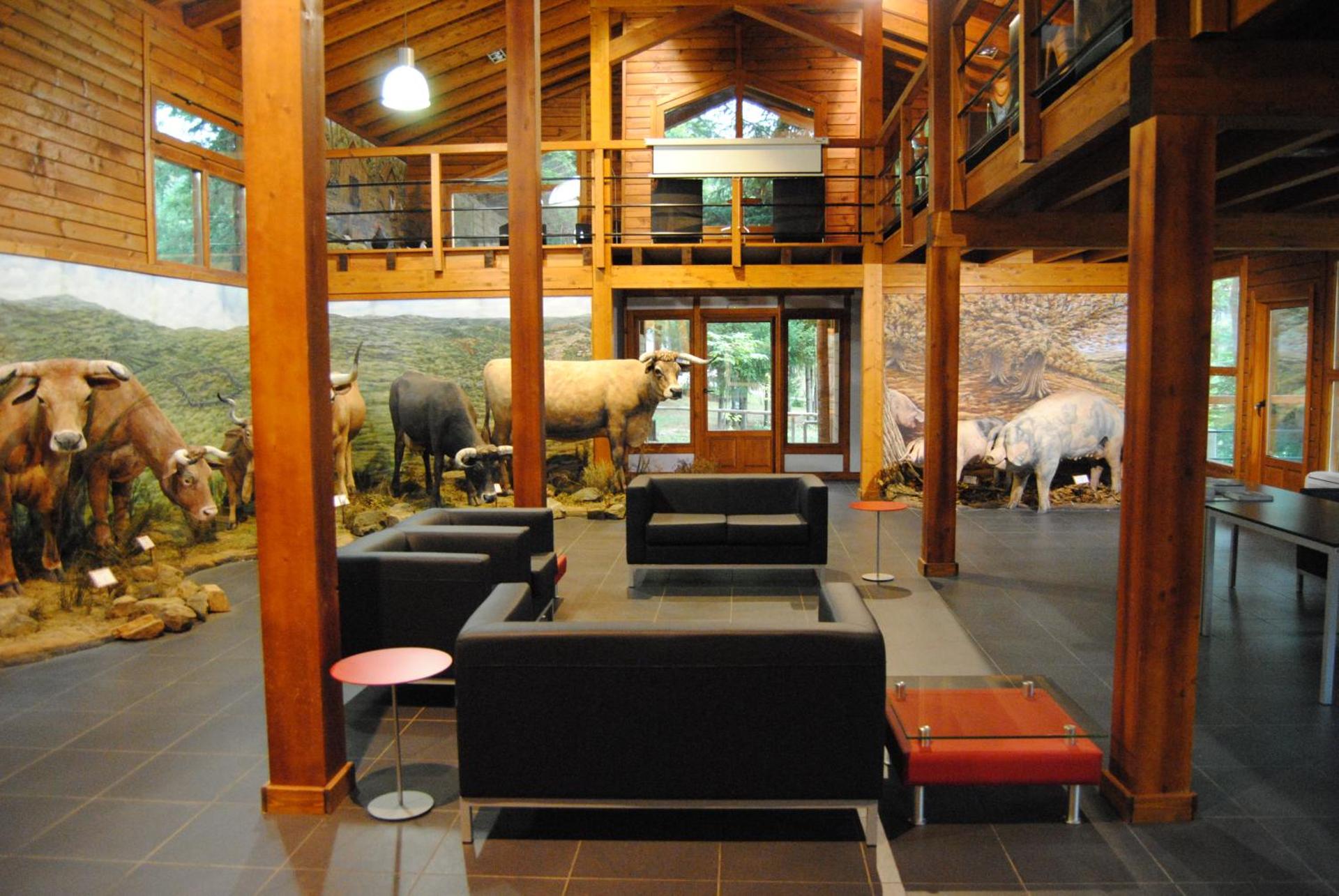 Internal: Not applicable to any particular room