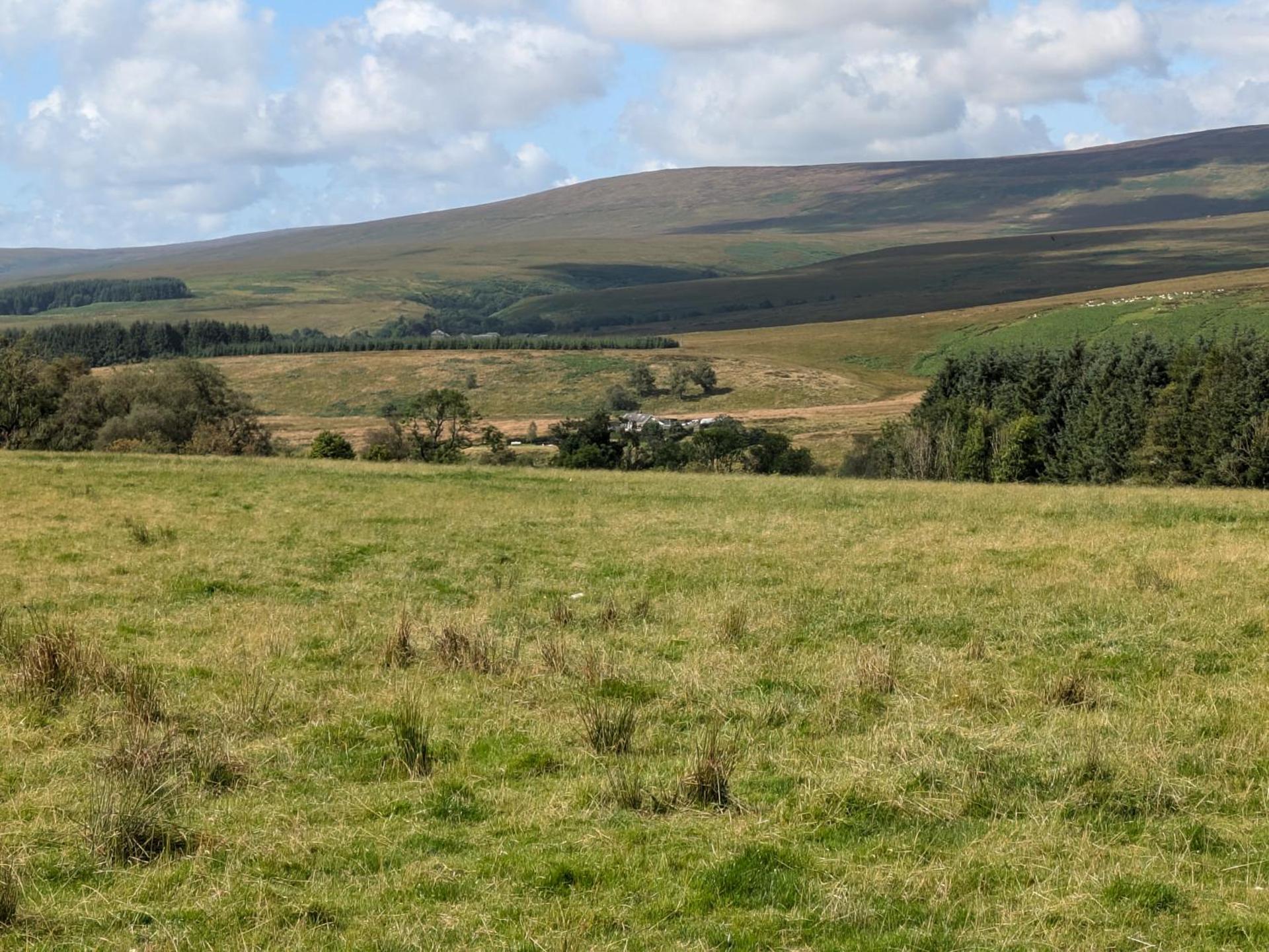 Pet Friendly - Lodge at Riverview Holiday Park