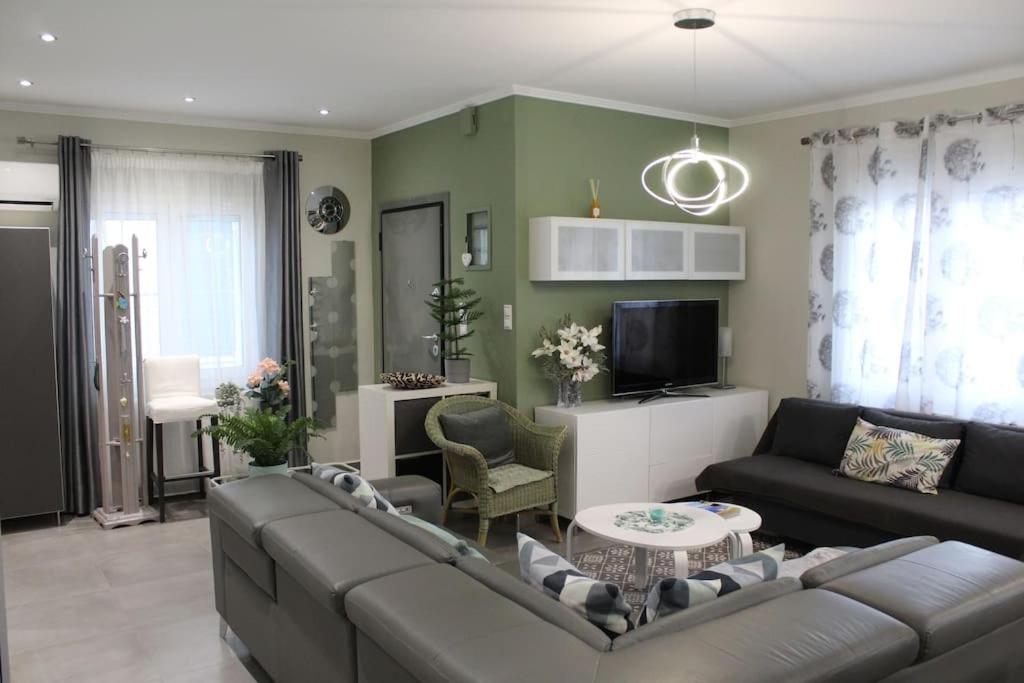 Panos modern country house