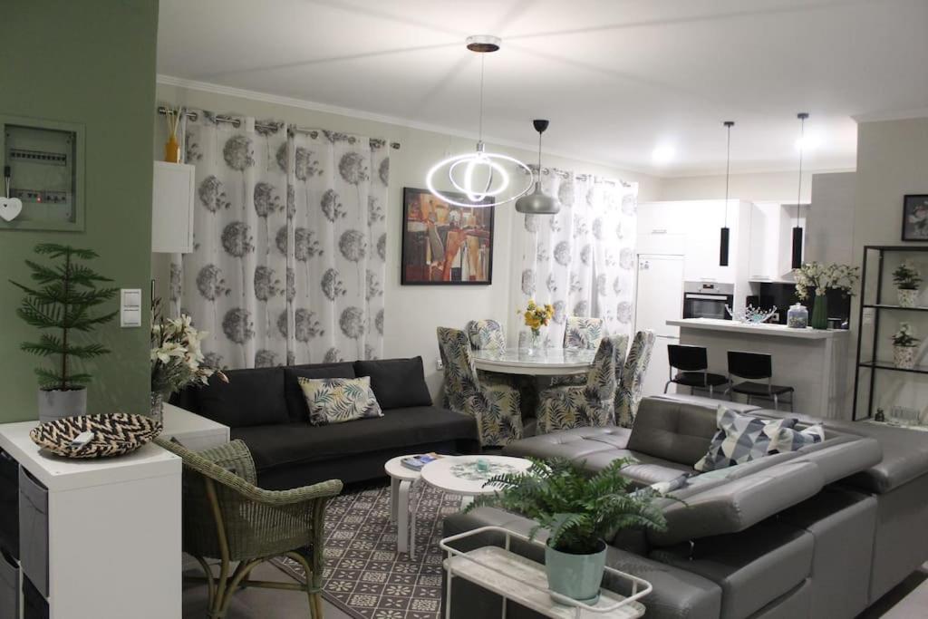 Panos modern country house