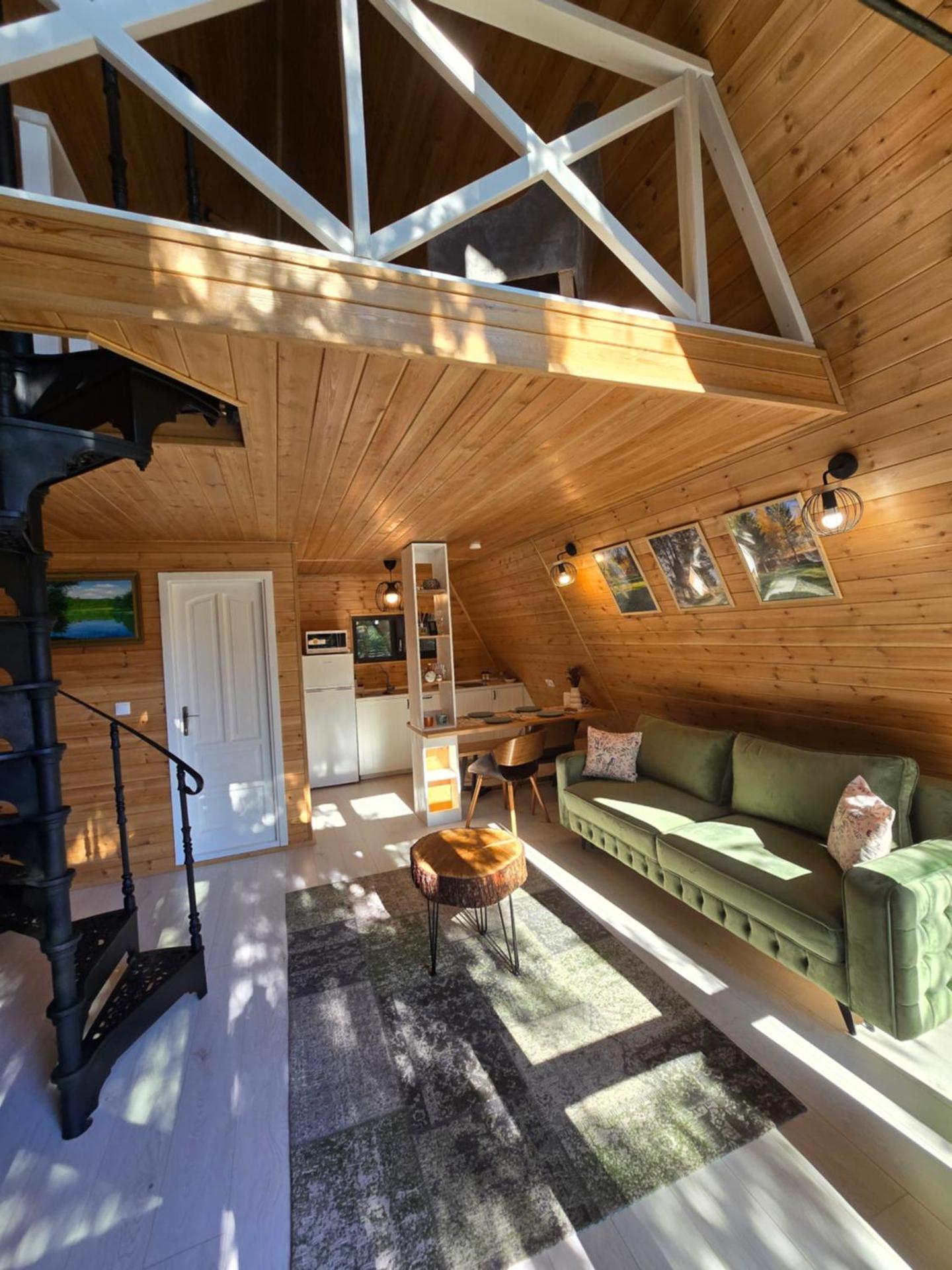 A frame Cuib de Vultur