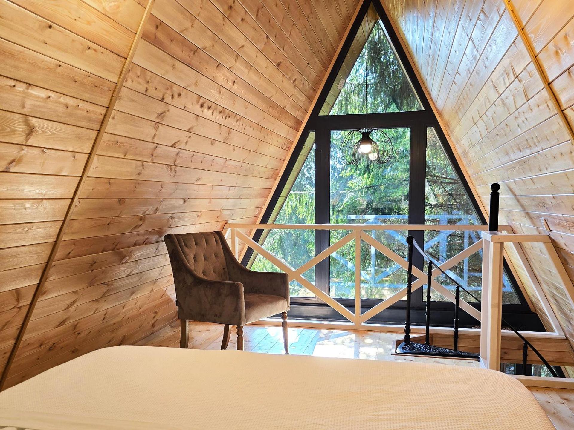 A frame Cuib de Vultur