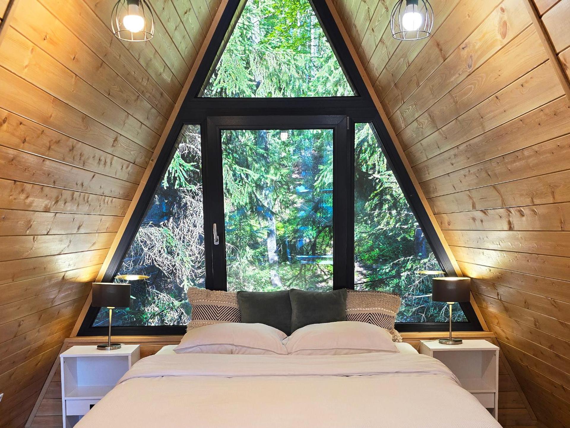 A frame Cuib de Vultur