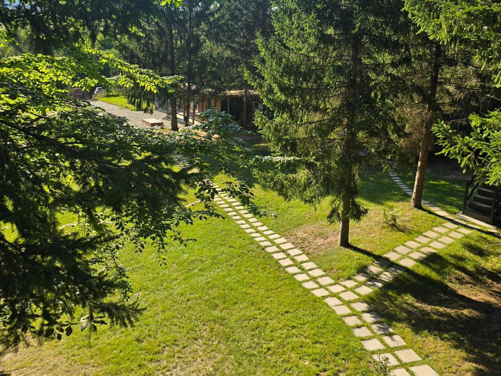 A frame Cuib de Vultur