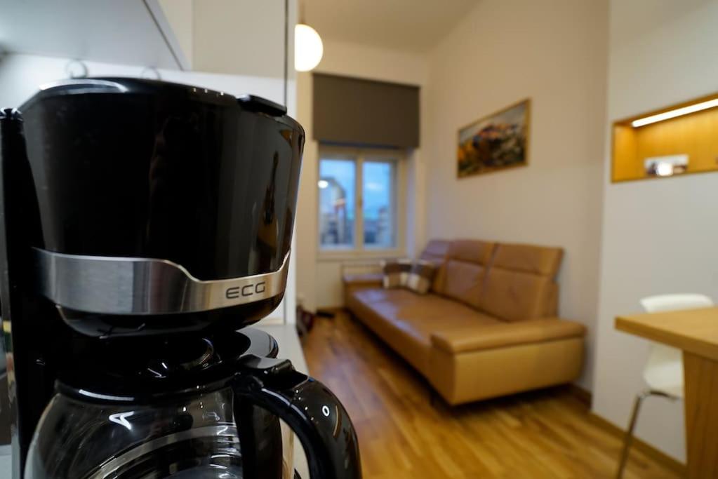 Cozy apartment with garage