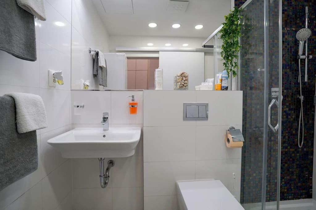 Cozy apartment with garage