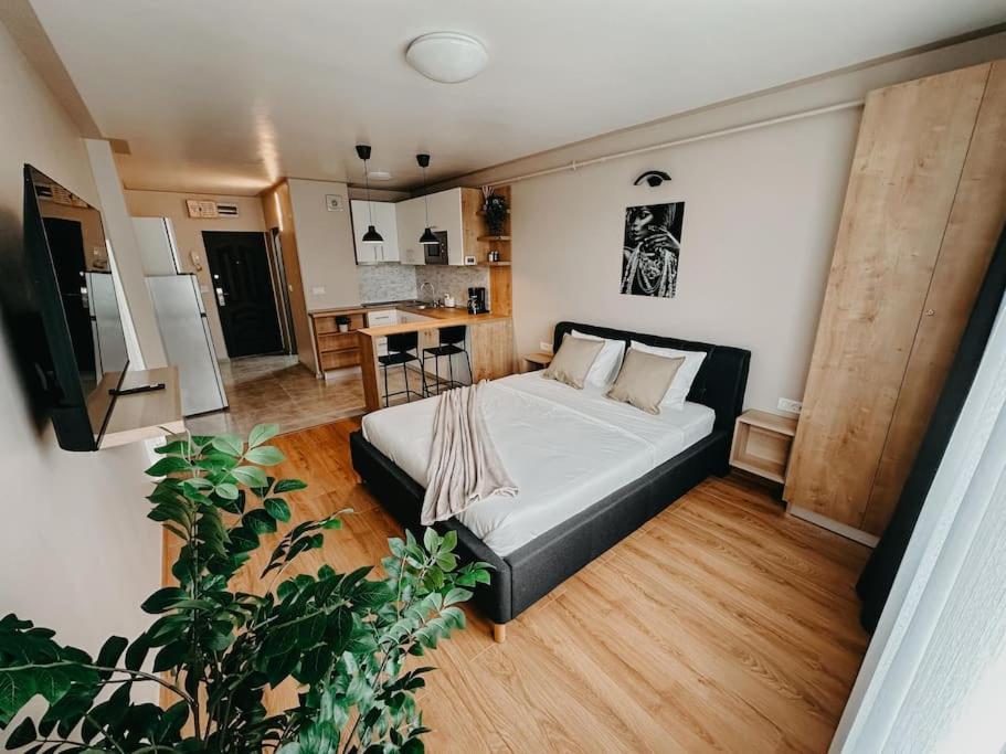 AGOLL Victoria - self checkin