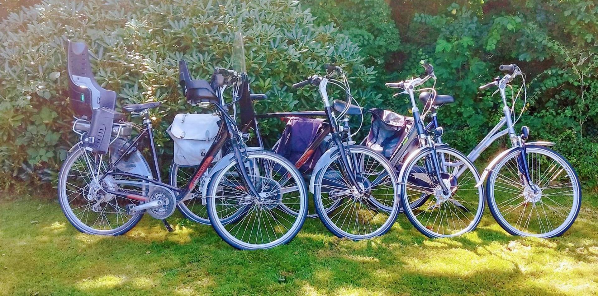 Vakantiehuis Hollum Ameland dichtbij strand en met ruime tuin - Ameland39 nl