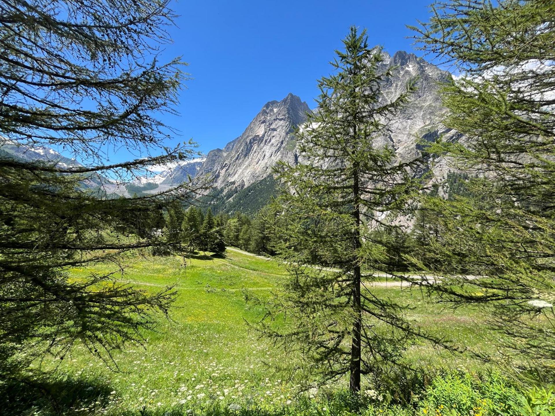 Chalet Chez Louis - Alpine Charm with Mont Blanc View & Ski Access