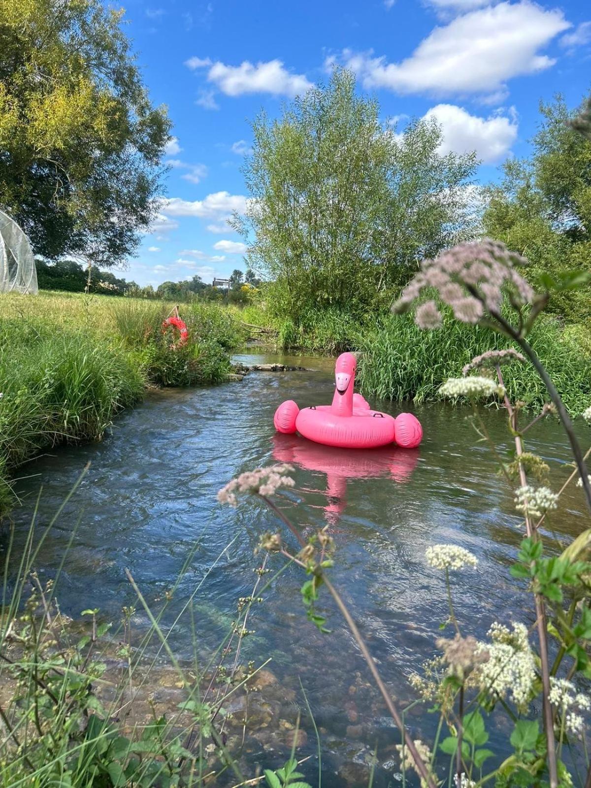 HERTFORD Farm yurt Tent Camping fire pit bbq pet friendly