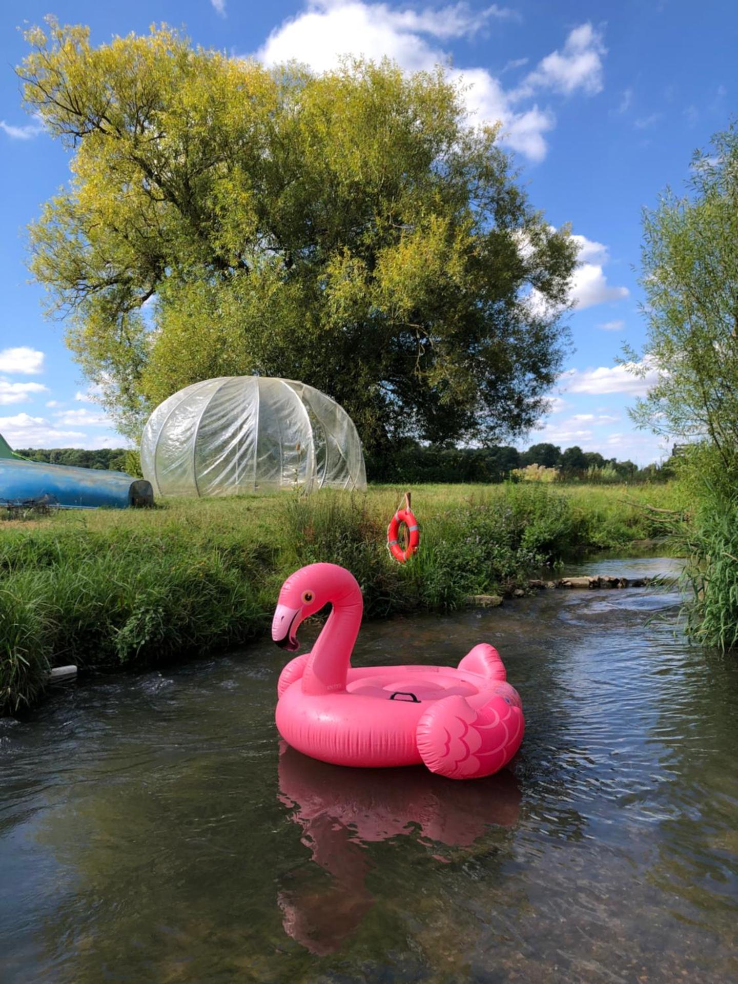 HERTFORD Farm yurt Tent Camping fire pit bbq pet friendly