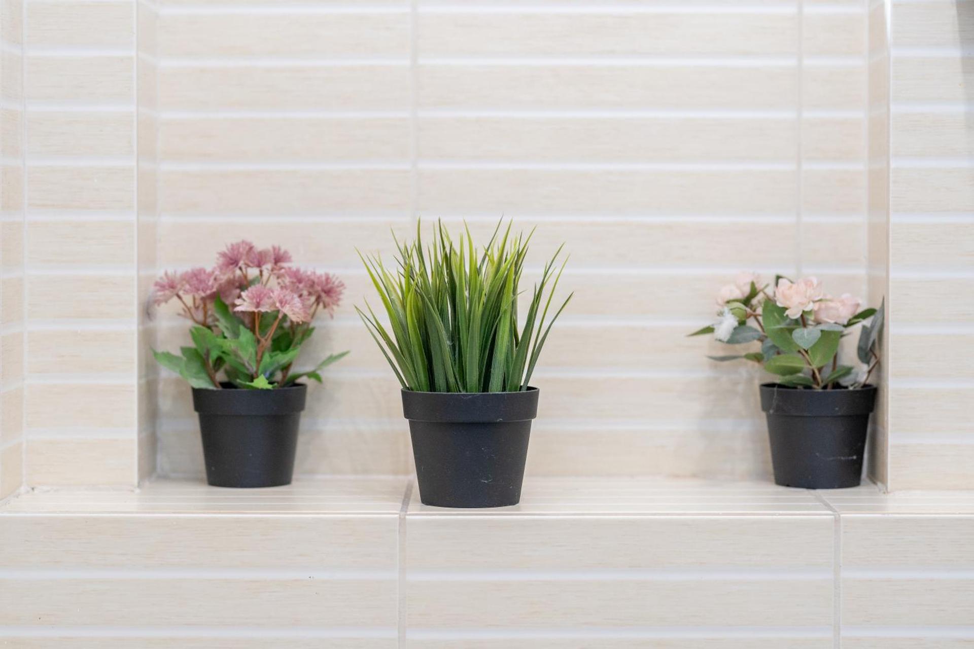 Cozy spacious 5 star accommodation in the heart of historic center