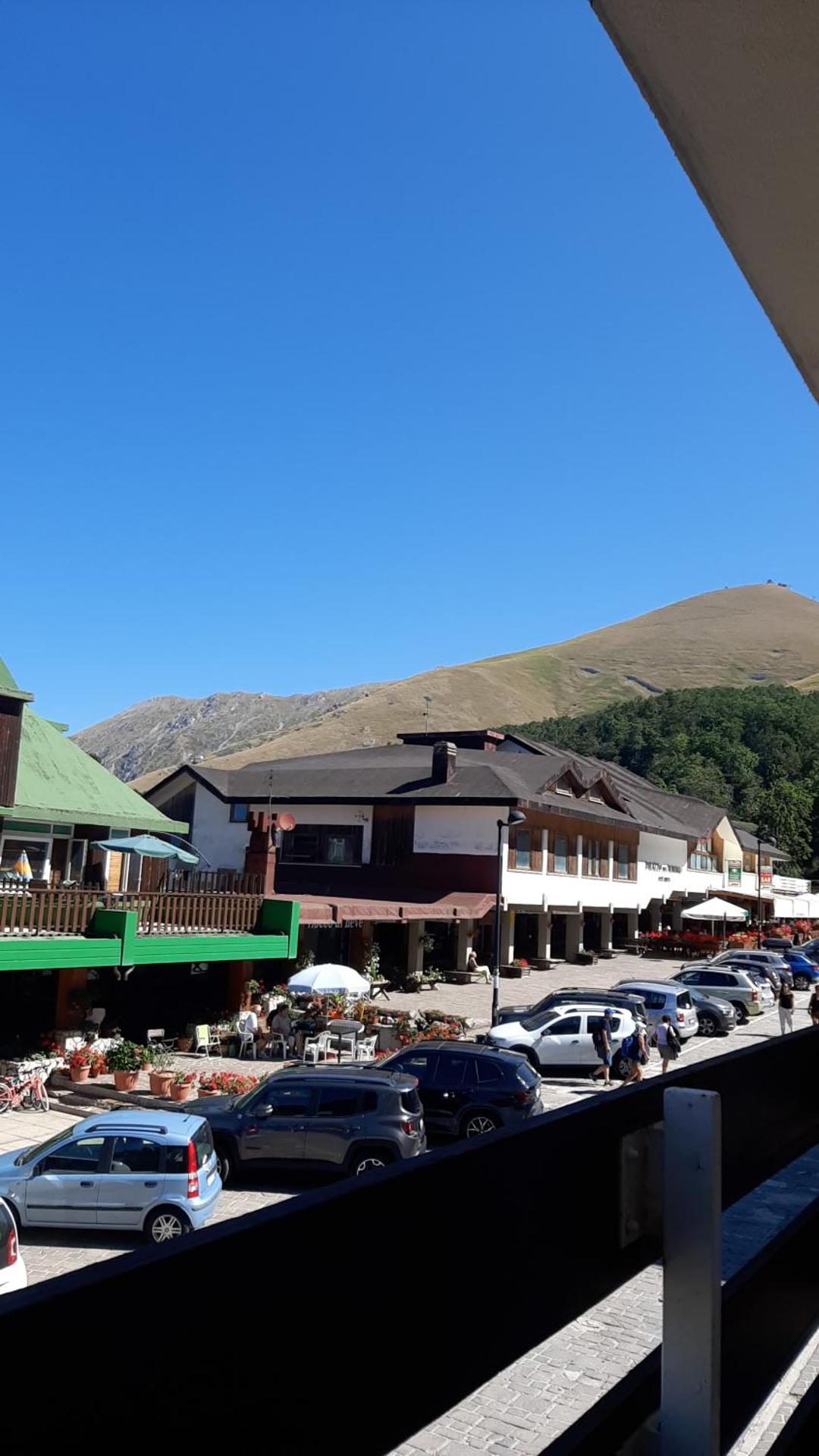 La tana del lupo Pet Free