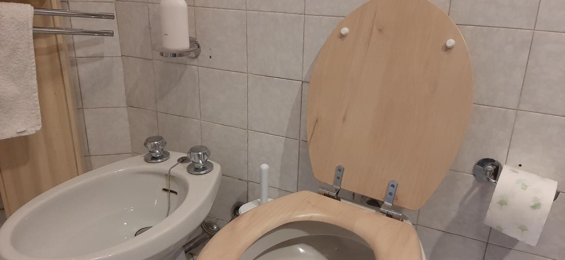 La tana del lupo Pet Free