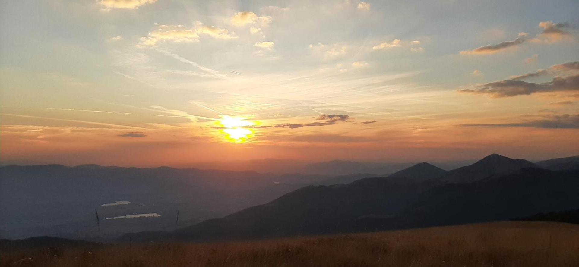 La tana del lupo Pet Free