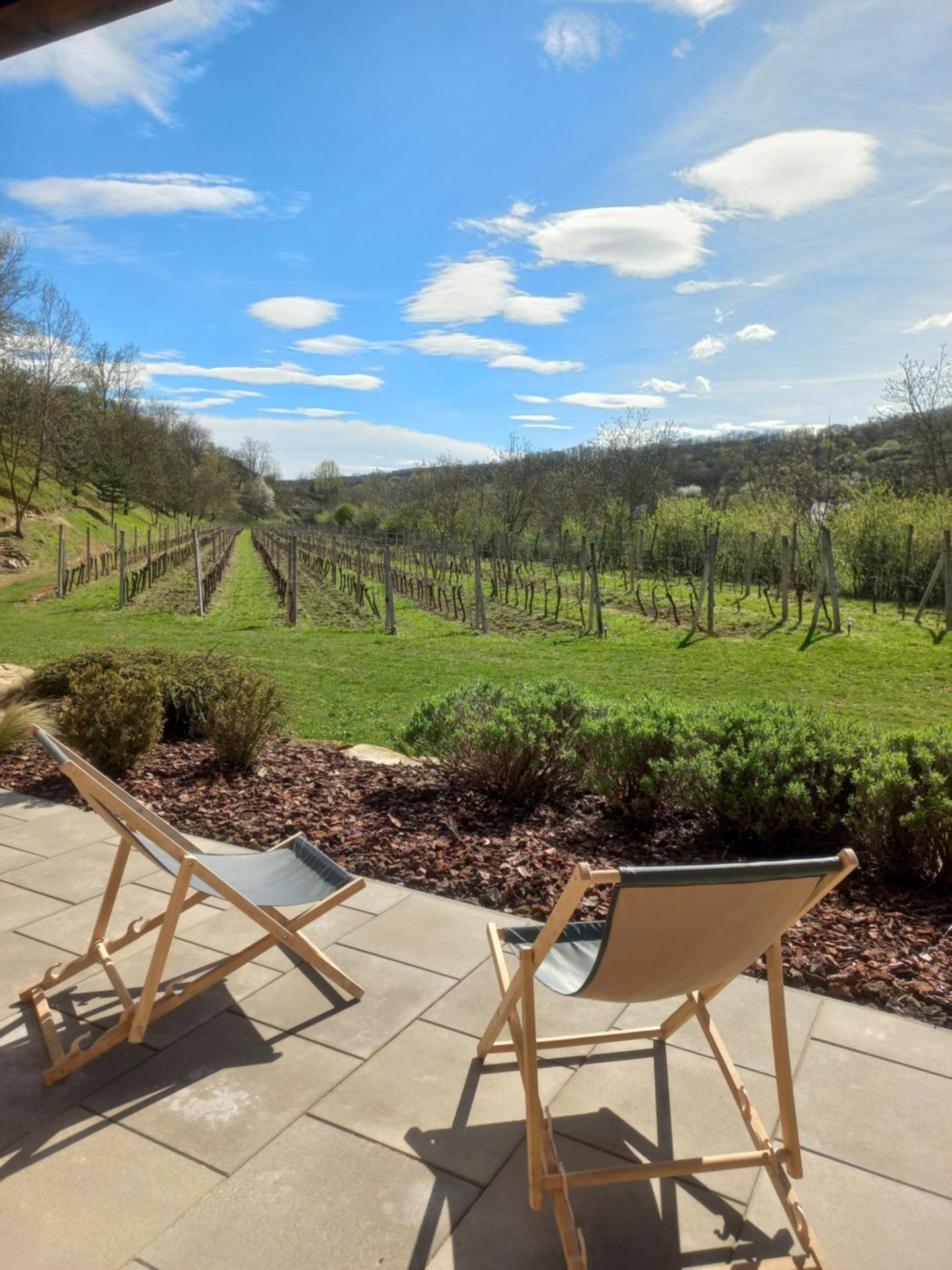 Penzion Ve Vinohradě