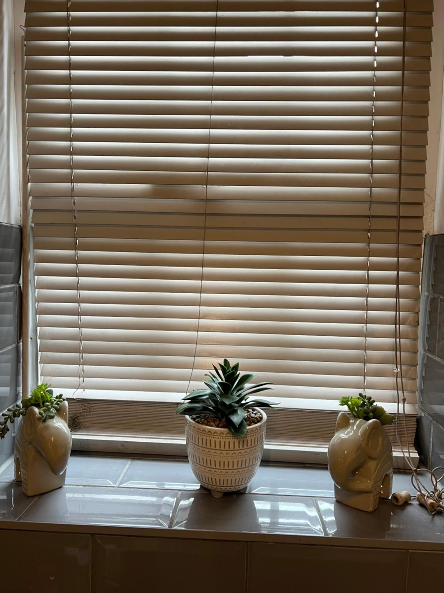 Cairo Street Ground New