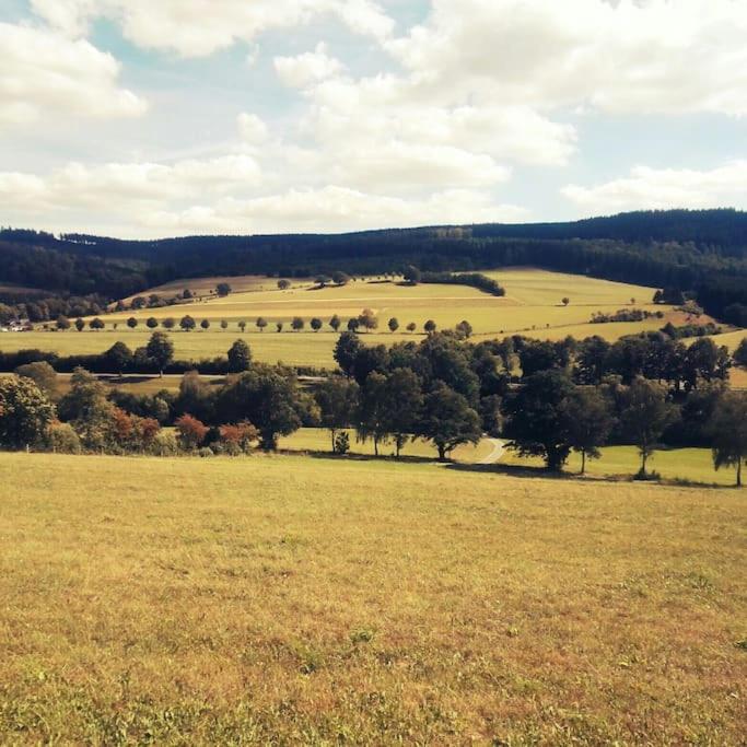Gemütliche Wohnung Rothaarsteig Ski Sauna Ruhrtal Green Hill