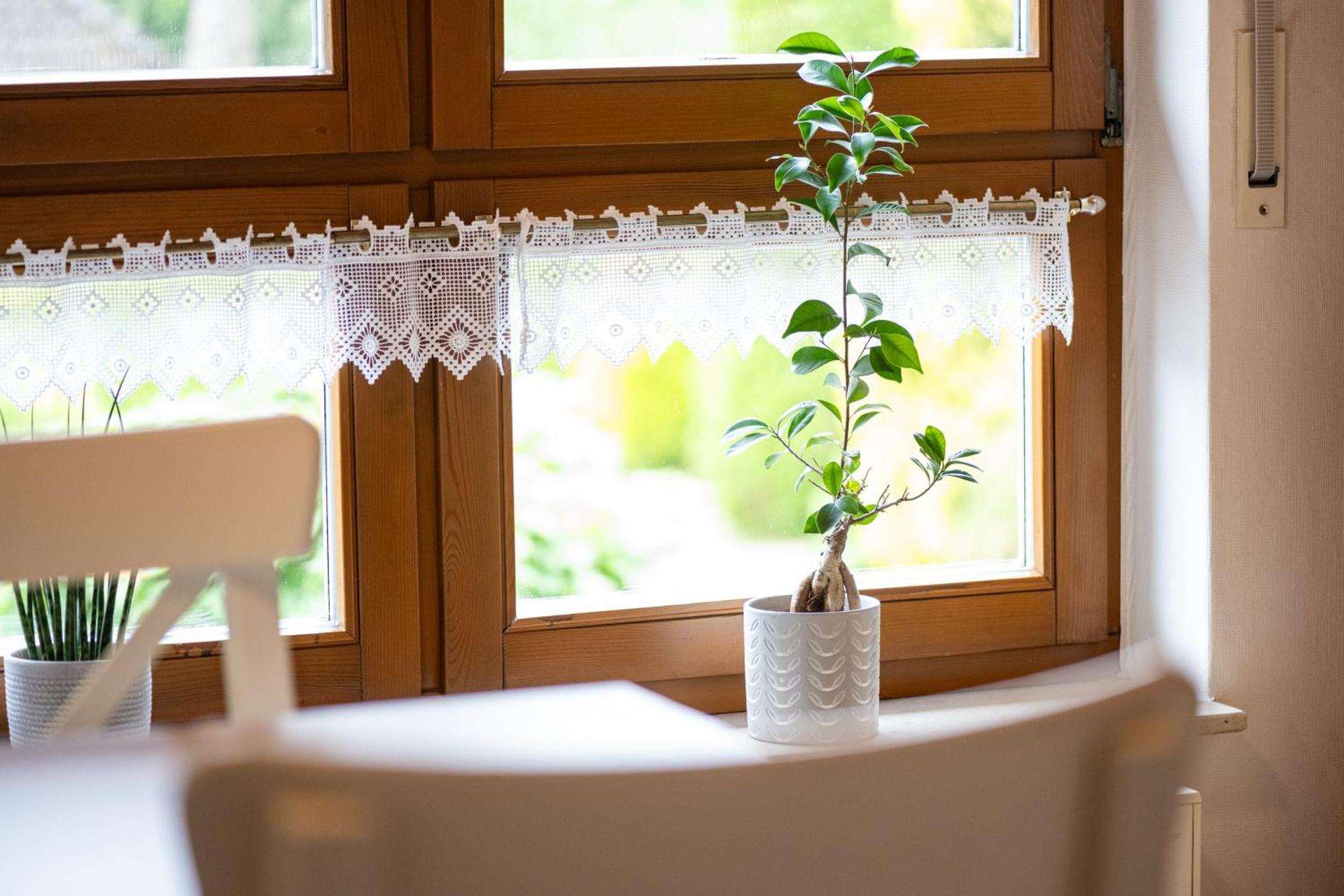 Ferienwohnung Pop s Huus 35226