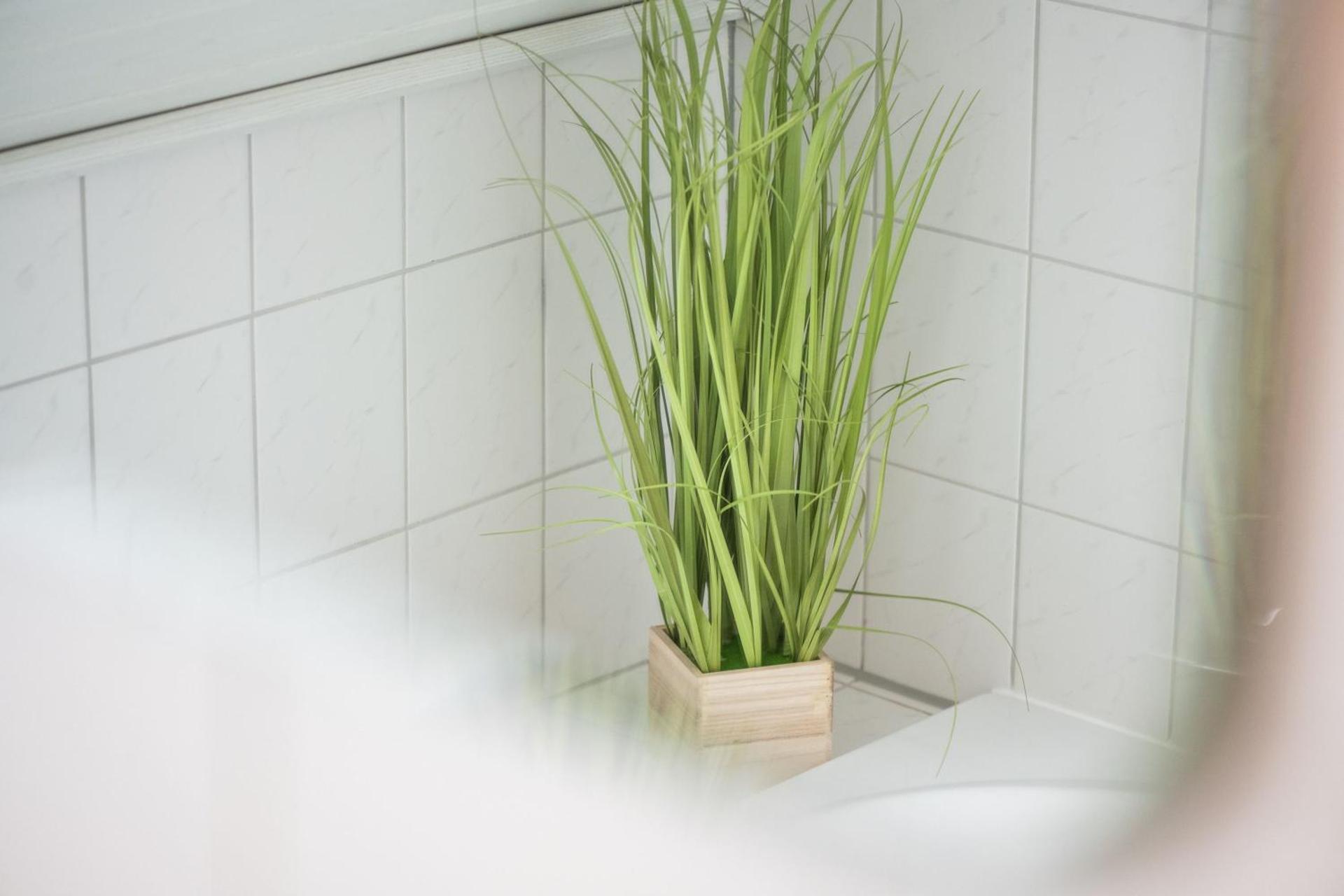 Ferienwohnung Pop s Huus 35226