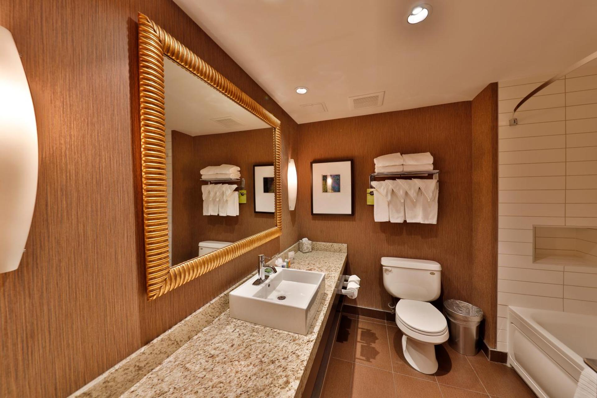 One-Bedroom King Suite