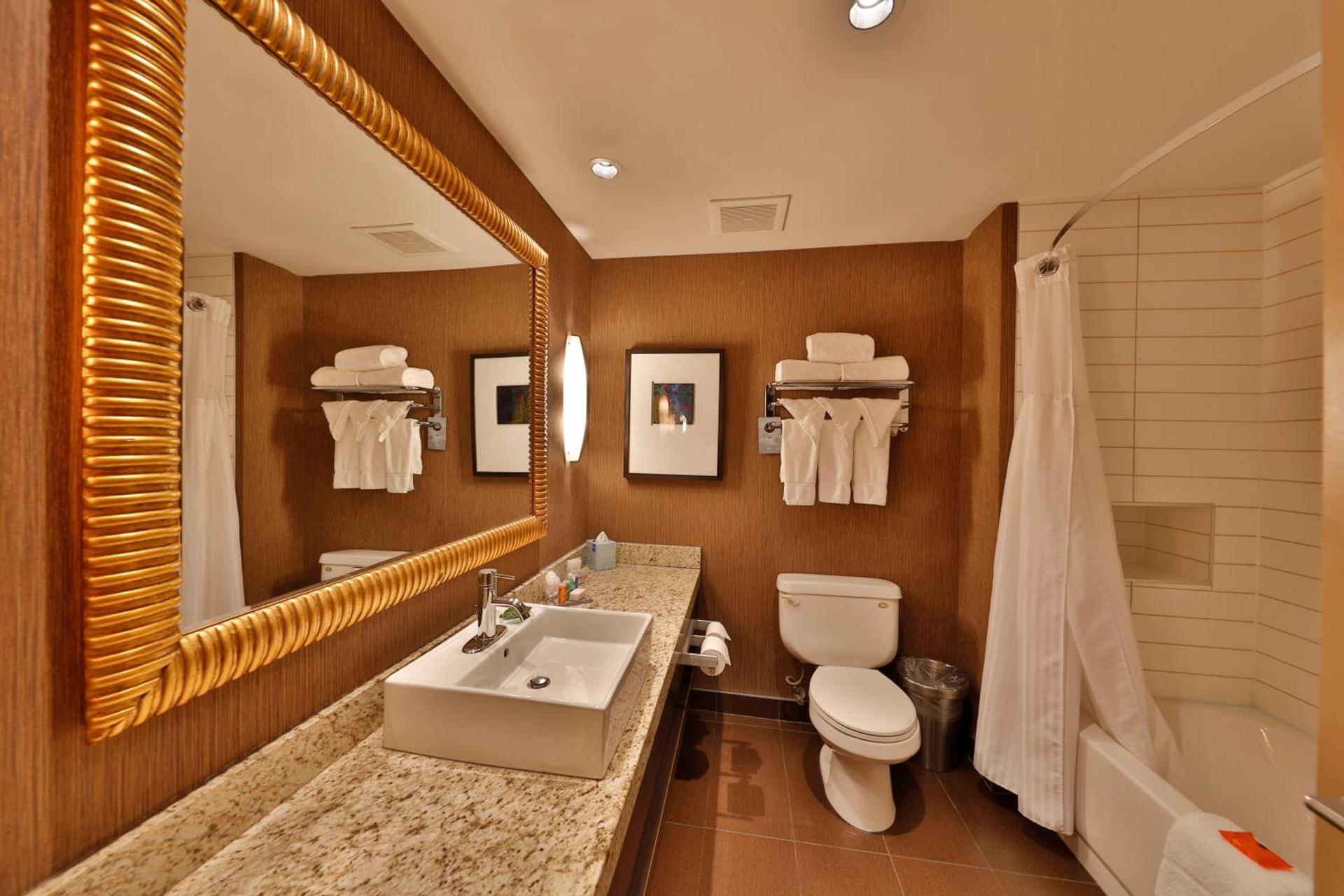 Premium King Room with Wetbar