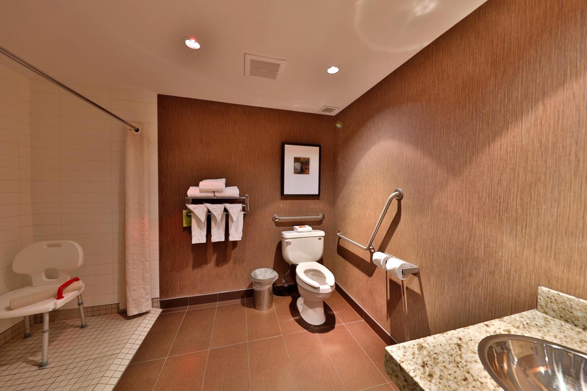 King Room with Roll-In Shower - Disability Access
