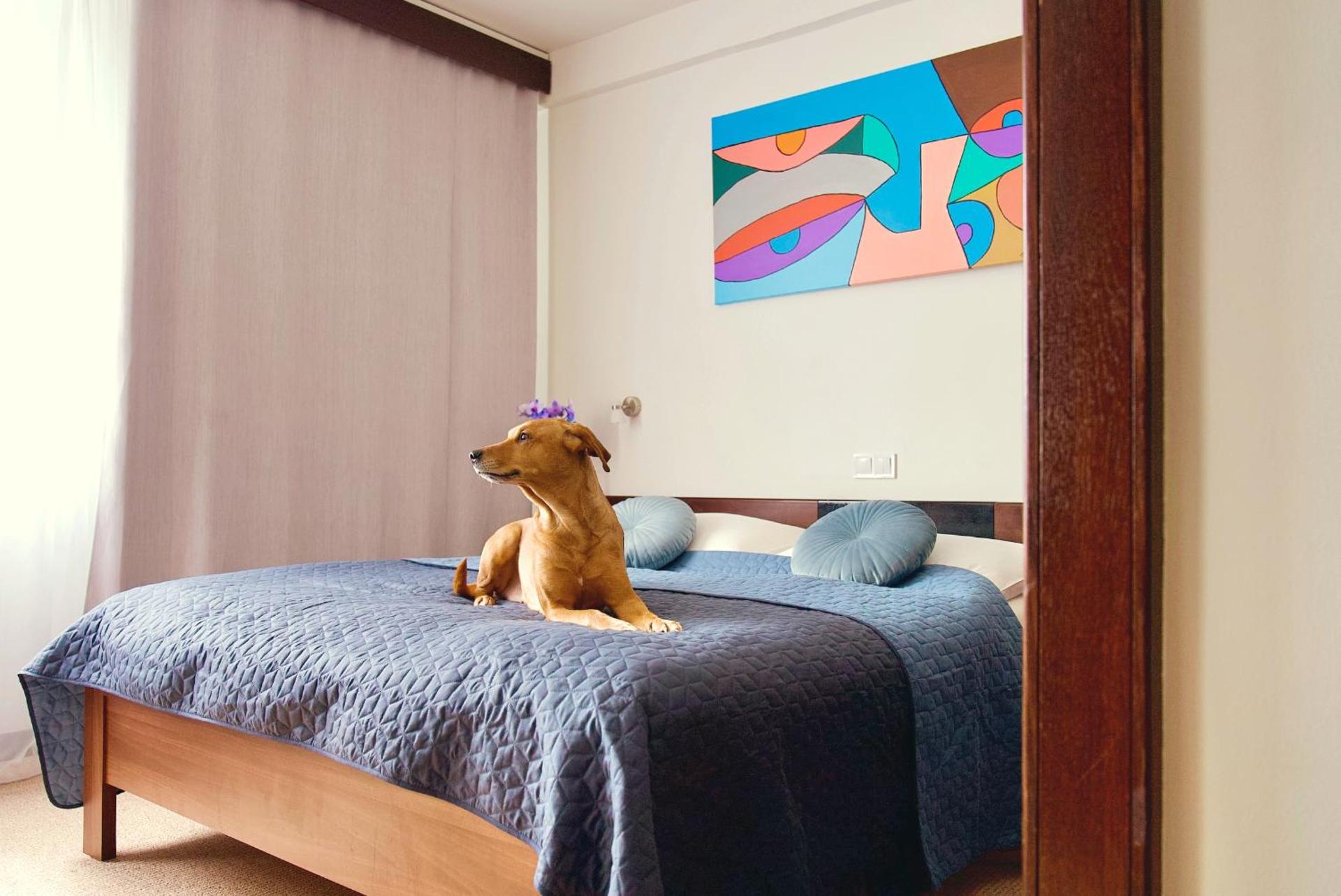 Hotel Merkur - Jablonec nad Nisou