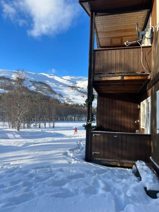 Cozy apartement near Besseggen with a nice outdoor area!