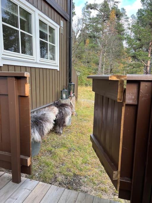 Cozy apartement near Besseggen with a nice outdoor area!