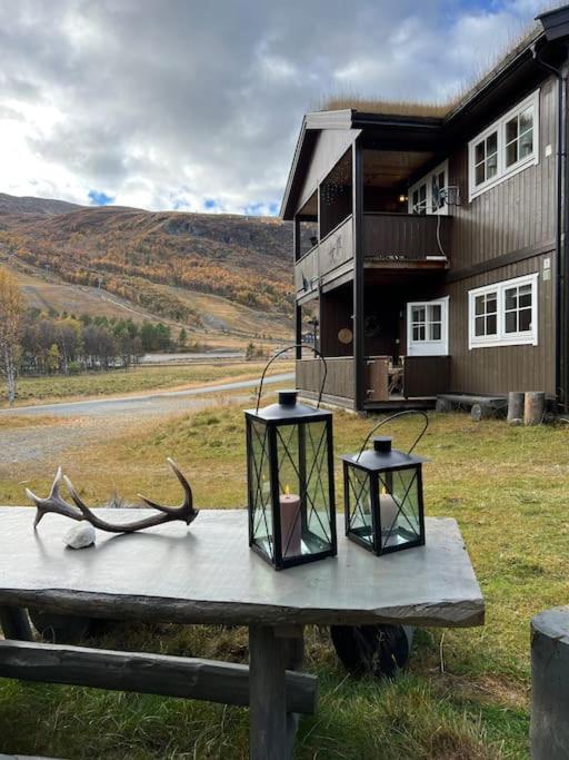 Cozy apartement near Besseggen with a nice outdoor area!
