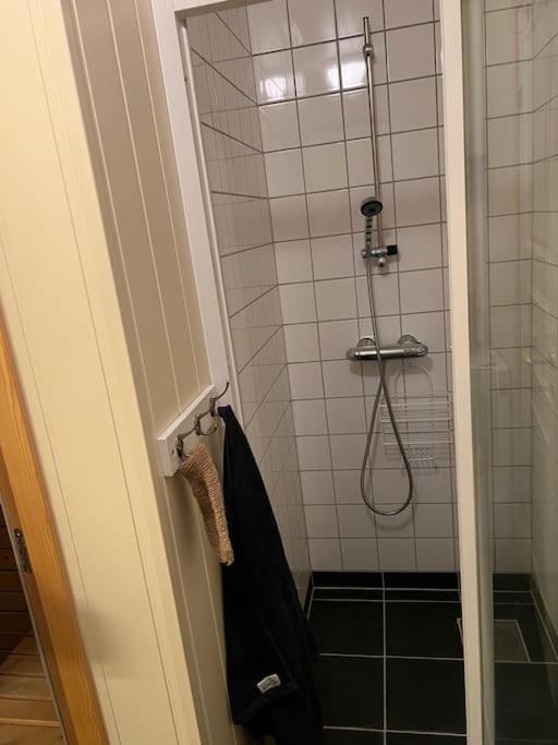 Cozy apartement near Besseggen with a nice outdoor area!