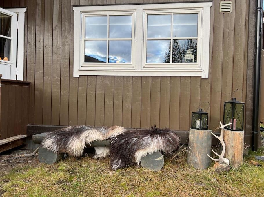 Cozy apartement near Besseggen with a nice outdoor area!