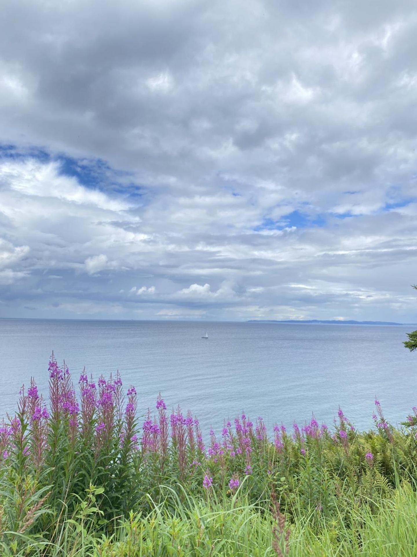 Nice guesthouse in Gilleleje