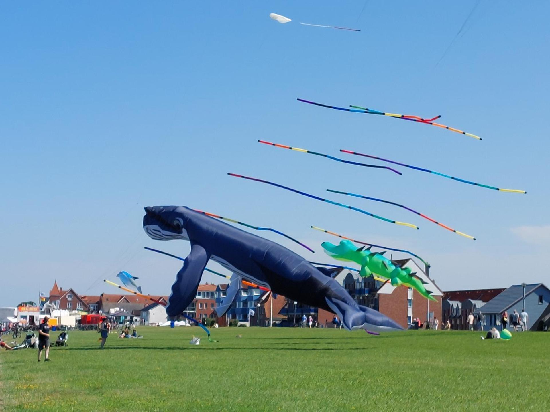 Ferienwohnung im Ostseebad Schönberg nahe Schönberger Strand Ostsee Self-Check-in