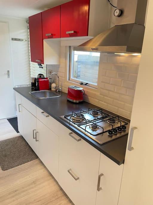 Tiny house met tuin en 2 fietsen in Putten op de Veluwe