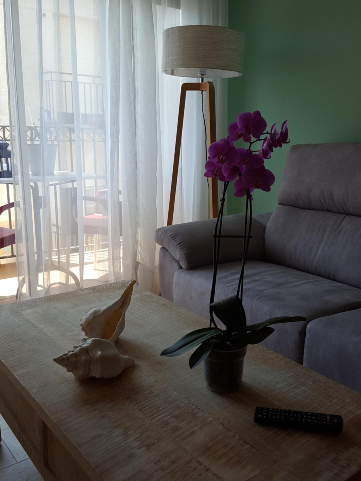 Mandala apARTments, confort y encanto a pie playa