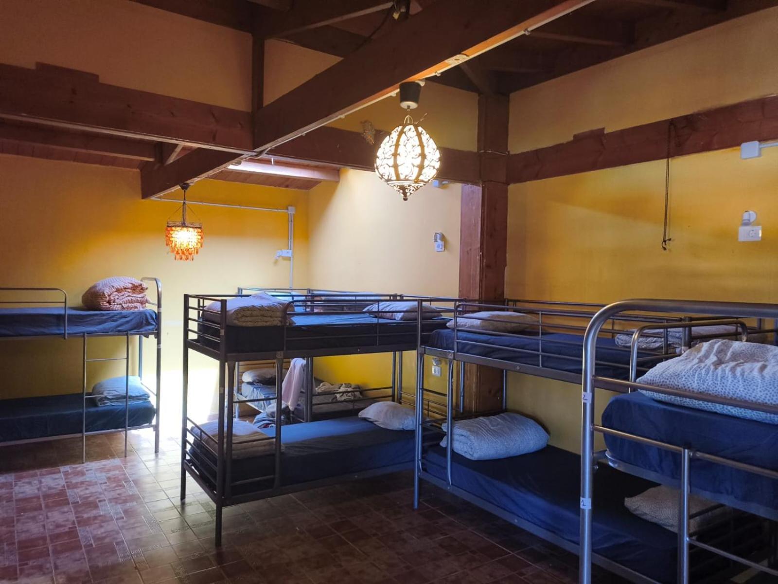 Los Amigos Nest Hostel