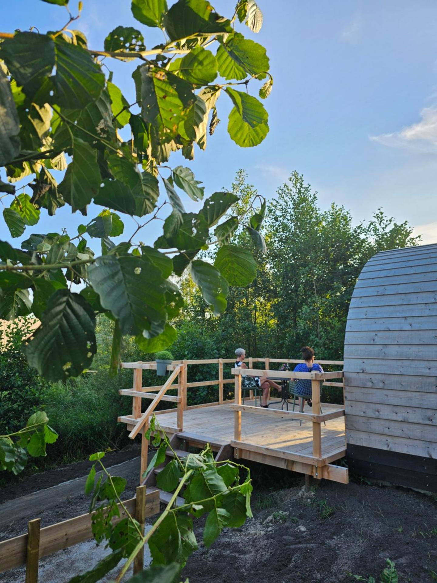 Tiny House De Skierroek