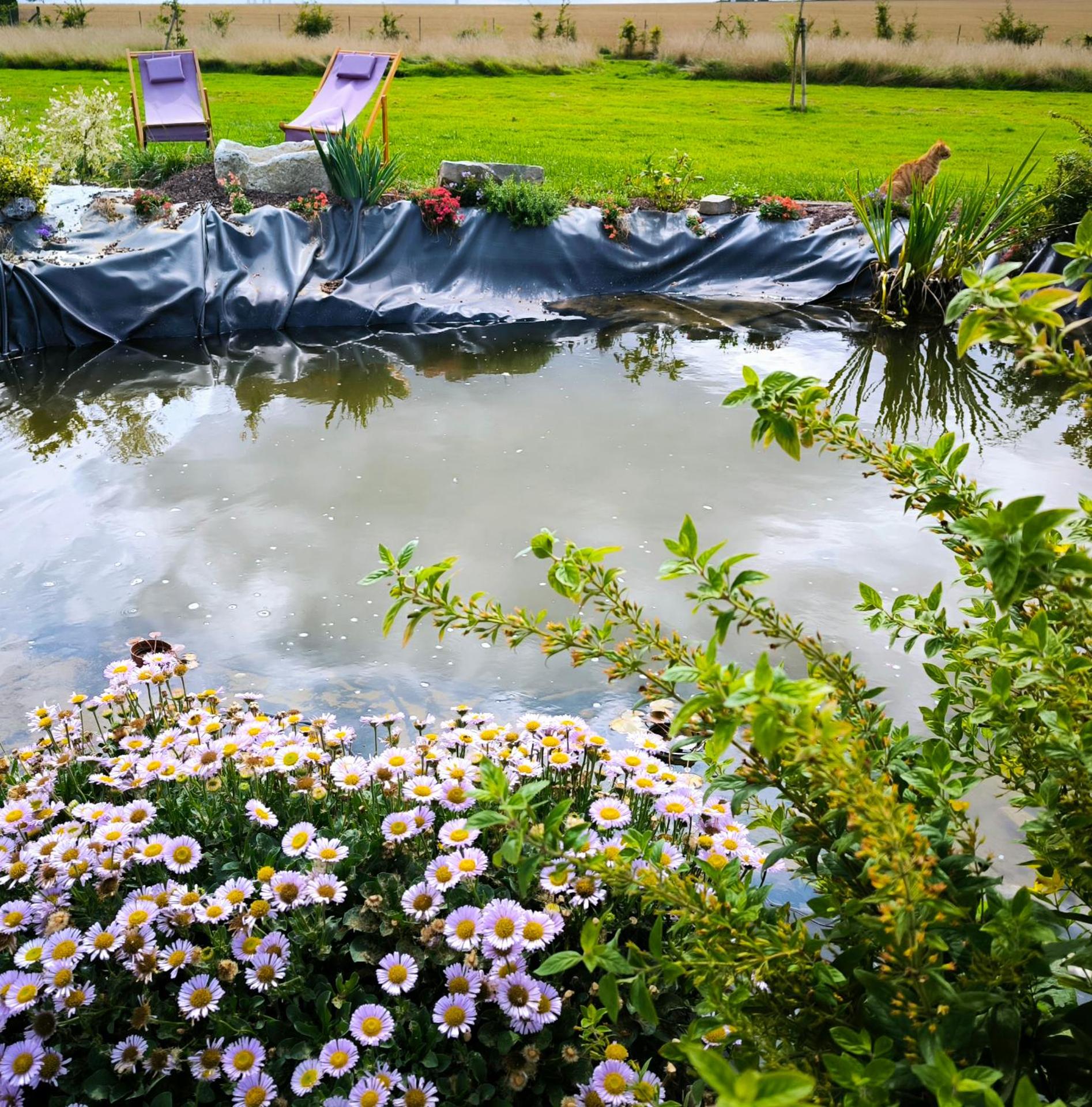 La Petite Eole - Déco 70's, Entre Rouen et Dieppe