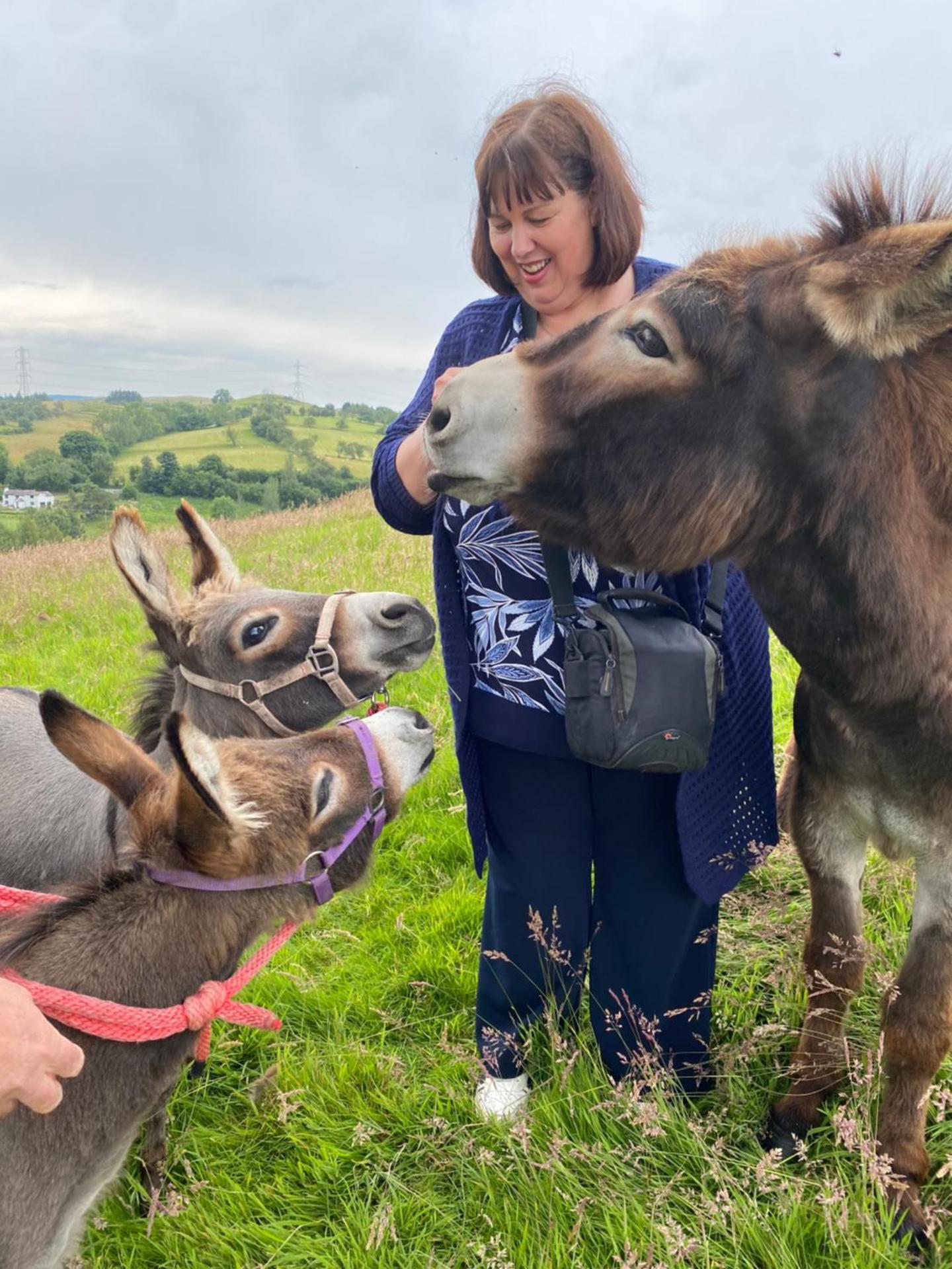 Unique Stay on an Alpaca Therapy Farm with Miniature Donkeys North Wales