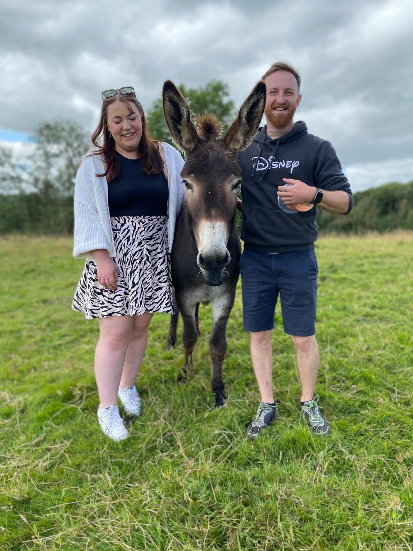 Unique Stay on an Alpaca Therapy Farm with Miniature Donkeys North Wales